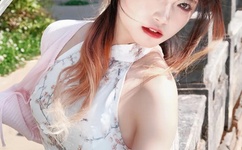 青青草视频无vip